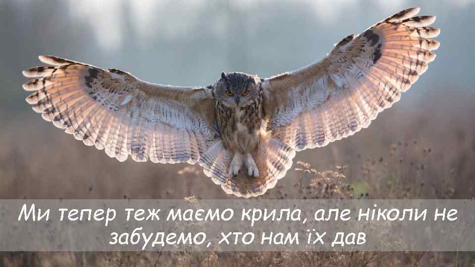 Ми тепер теж маємо крила, але ніколи не забудемо, хто нам їх дав 