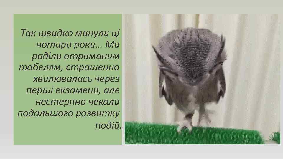 Так швидко минули ці чотири роки… Ми раділи отриманим табелям, страшенно хвилювались через перші