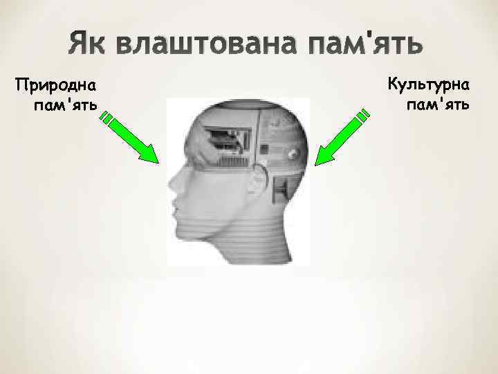 Як влаштована пам'ять Природна пам'ять Культурна пам'ять 