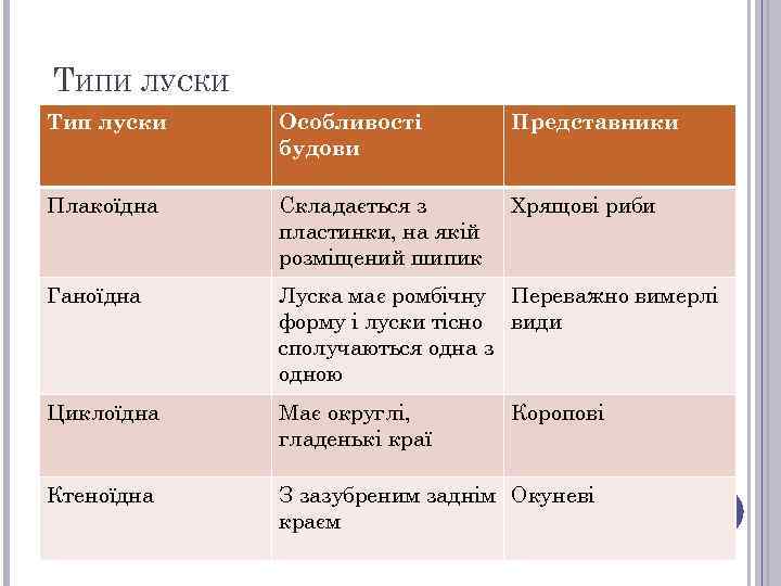ТИПИ ЛУСКИ Тип луски Особливості будови Представники Плакоїдна Складається з пластинки, на якій розміщений