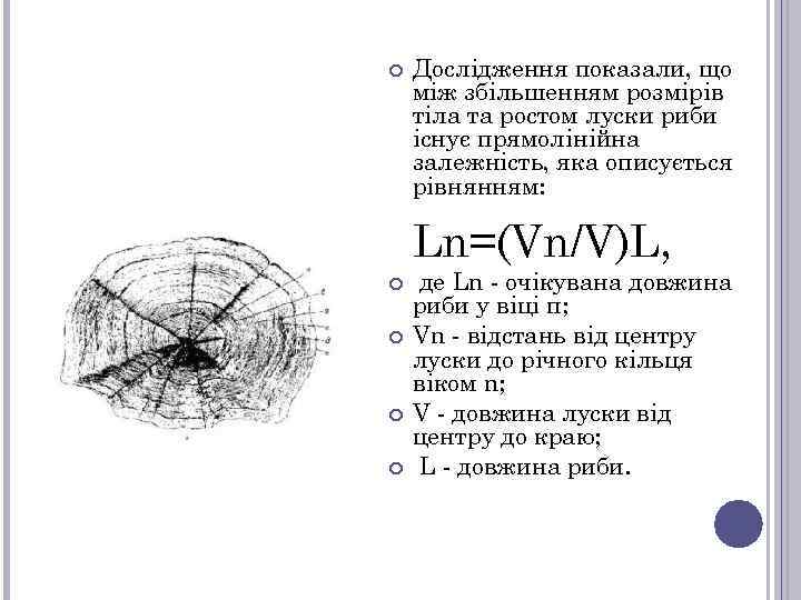  Дослідження показали, що між збільшенням розмірів тіла та ростом луски риби існує прямолінійна