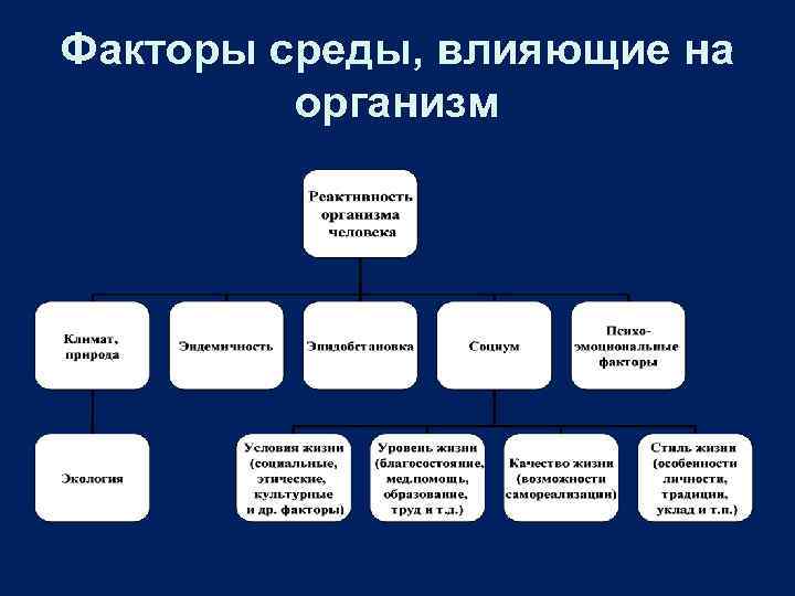 Факторы среды, влияющие на организм 