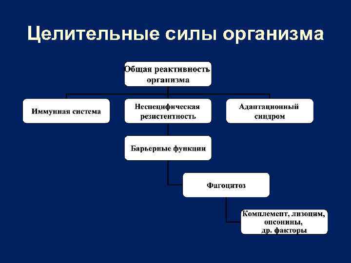 Целительные силы организма 