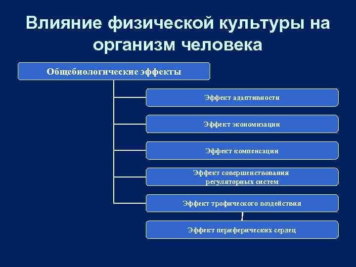 Влияние физической культуры на организм человека Общебиологические эффекты Эффект адаптивности Эффект экономизации Эффект компенсации