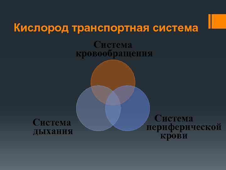Кислород транспортная система Система кровообращения Система дыхания Система периферической крови 