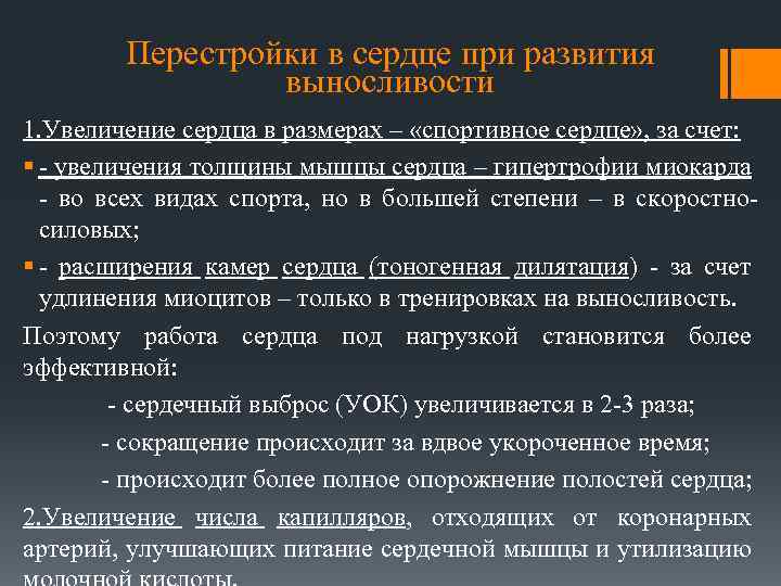 Перестройки в сердце при развития выносливости 1. Увеличение сердца в размерах – «спортивное сердце»