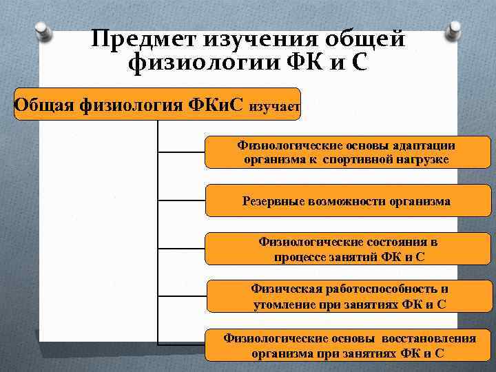 Предмет изучения общей физиологии ФК и С Общая физиология ФКи. С изучает Физиологические основы