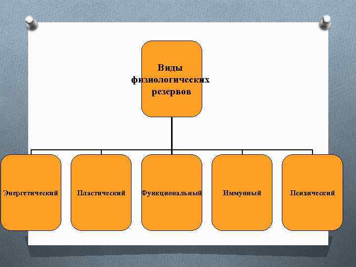 Виды физиологических резервов Энергетический Пластический Функциональный Иммунный Психический 