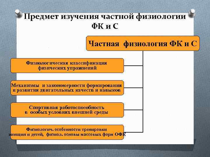 Предмет изучения частной физиологии ФК и С Частная физиология ФК и С Физиологическая классификация