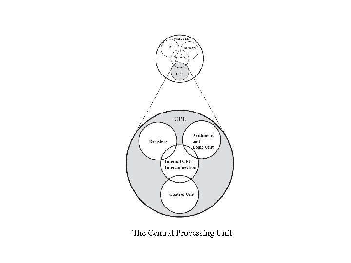 The Central Processing Unit 