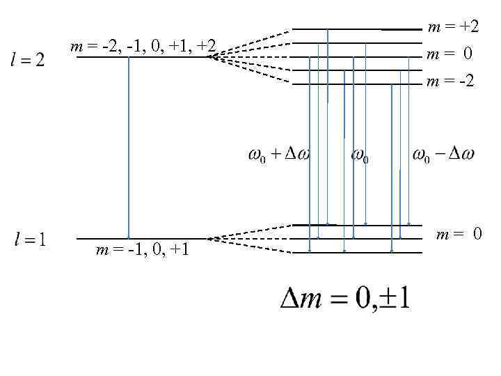 m = -2, -1, 0, +1, +2 m = +2 m= 0 m =