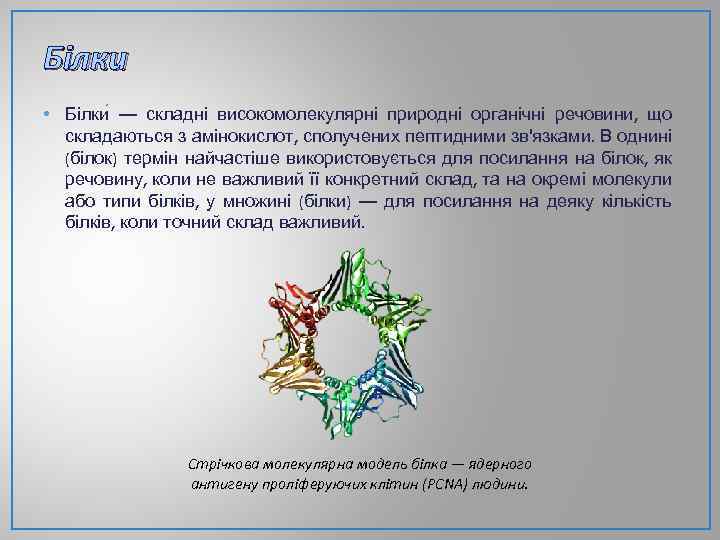 Білки • Білки — складні високомолекулярні природні органічні речовини, що складаються з амінокислот, сполучених