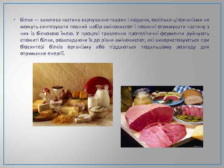  • Білки — важлива частина харчування тварин і людини, оскільки ці організми не