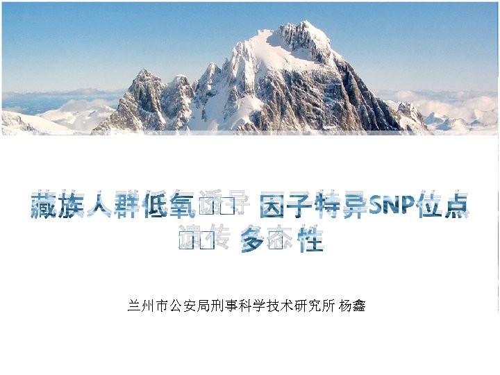 藏族人群低氧诱导 因子特异SNP位点 遗传 多态 性 兰州市公安局刑事科学技术研究所 杨鑫 