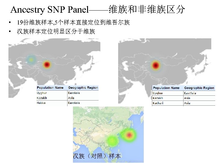 Ancestry SNP Panel——维族和非维族区分 • 19份维族样本, 5个样本直接定位到维吾尔族 • 汉族样本定位明显区分于维族 汉族（对照）样本 