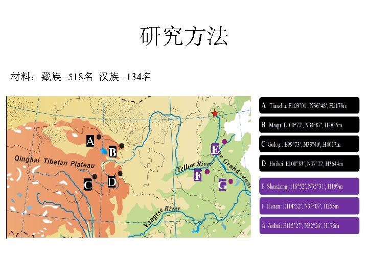 研究方法 材料：藏族--518名 汉族--134名 A C E B D F G 