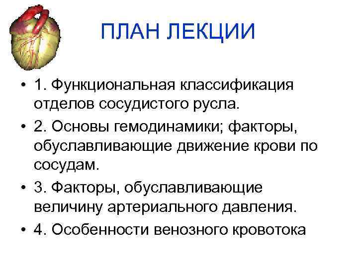 ПЛАН ЛЕКЦИИ • 1. Функциональная классификация отделов сосудистого русла. • 2. Основы гемодинамики; факторы,