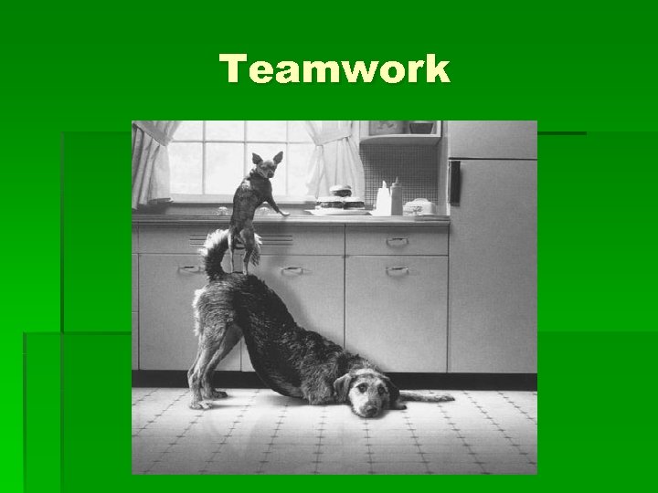Teamwork 