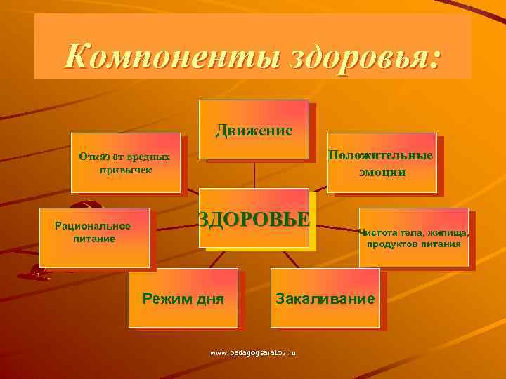 Компоненты здоровья: Движение Положительные эмоции Отказ от вредных привычек Рациональное питание ЗДОРОВЬЕ Режим дня