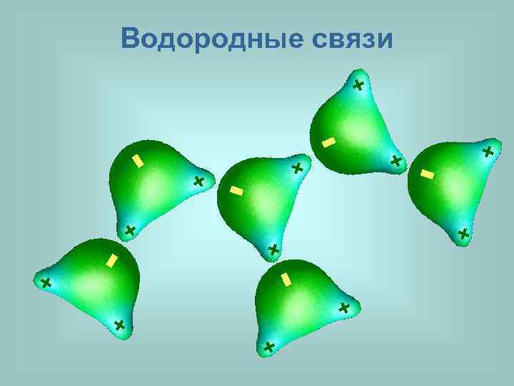Водородные связи + - + - + + + + 