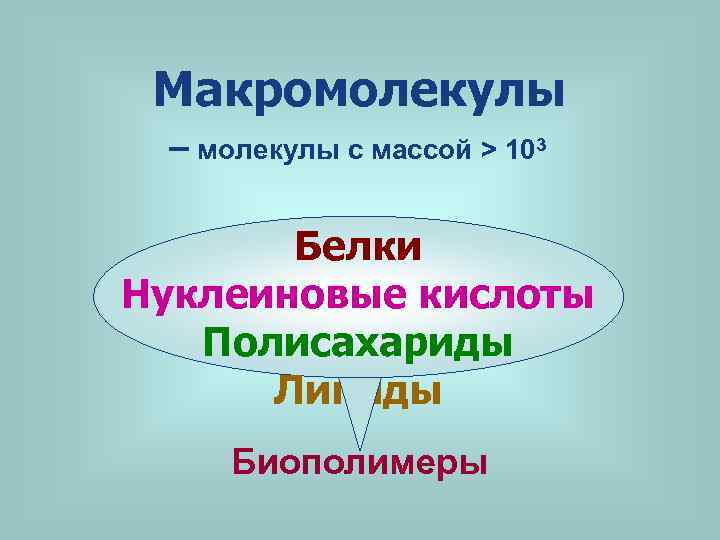 Макромолекулы – молекулы с массой > 103 Белки Нуклеиновые кислоты Полисахариды Липиды Биополимеры 