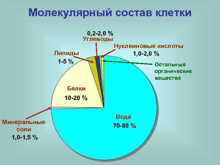 Молекулярный состав. Состав клетки человека в процентах. Молекулярный состав клетки. Элементный и молекулярный состав.