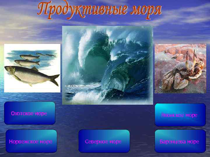 Охотское море Норвежское море Японское море Северное море Баренцева море 