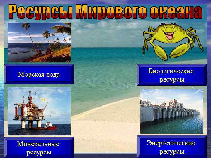 Морская вода Биологические ресурсы Минеральные ресурсы Энергетические ресурсы 