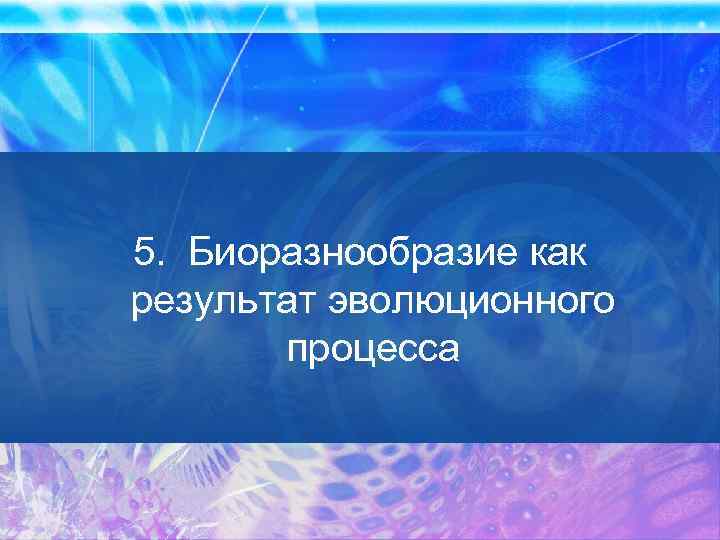 5. Биоразнообразие как результат эволюционного процесса 