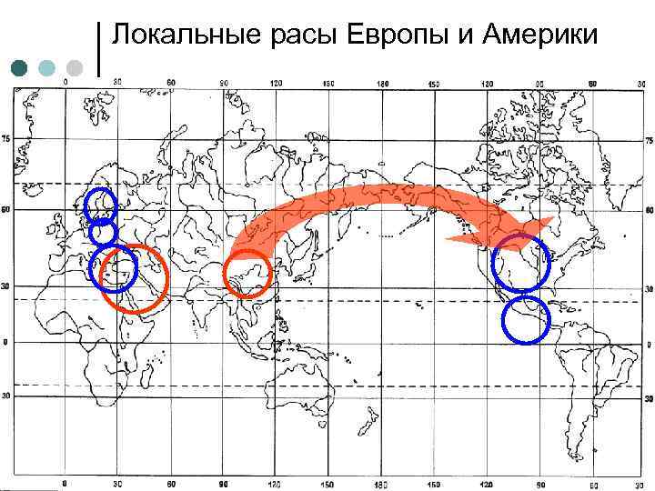 Локальные расы Европы и Америки 