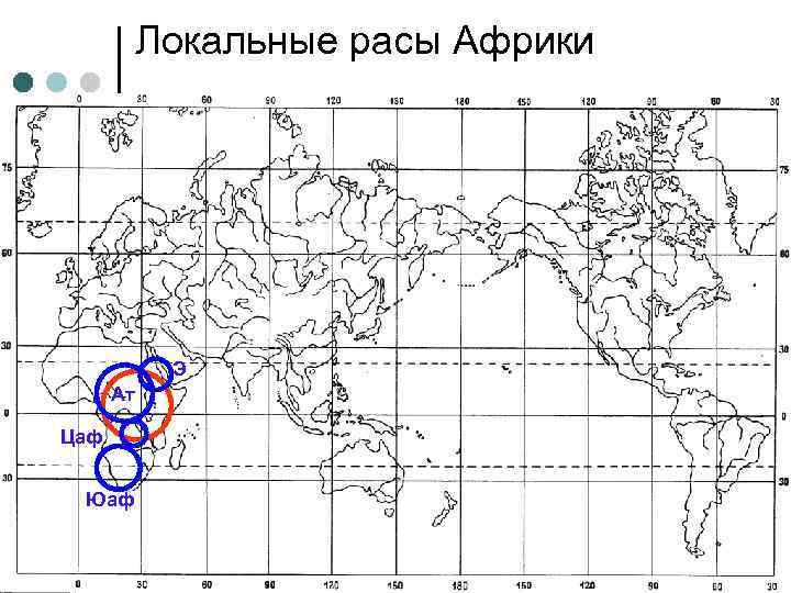 Локальные расы Африки Э Ат Цаф Юаф 