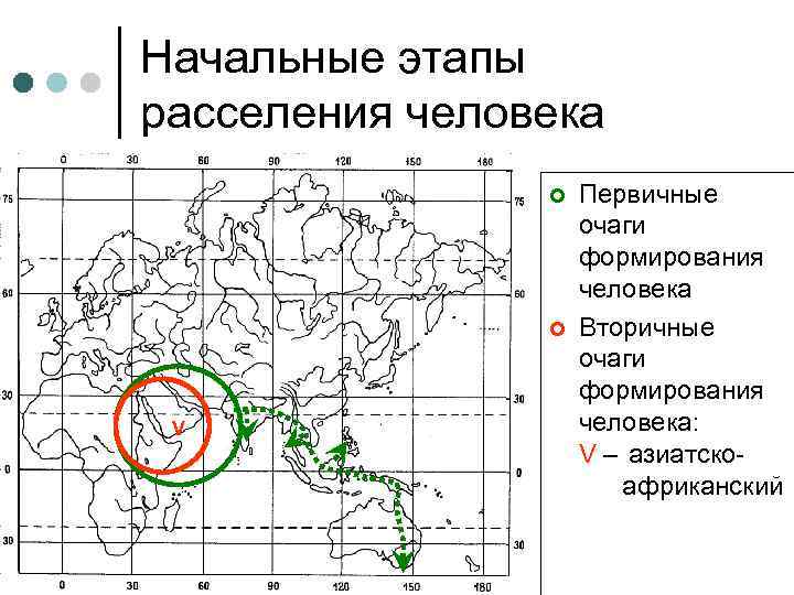 Начальные этапы расселения человека ¢ ¢ V Первичные очаги формирования человека Вторичные очаги формирования