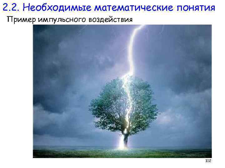 2. 2. Необходимые математические понятия Пример импульсного воздействия 102 