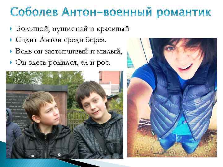  Большой, пушистый и красивый Сидит Антон среди берез. Ведь он застенчивый и милый,