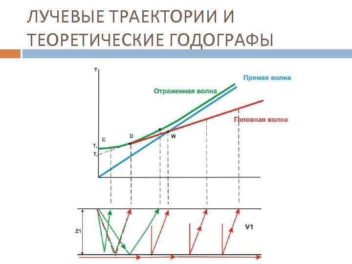 ЛУЧЕВЫЕ ТРАЕКТОРИИ И ТЕОРЕТИЧЕСКИЕ ГОДОГРАФЫ 