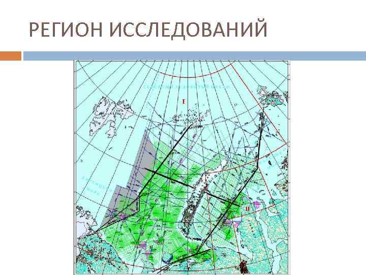 РЕГИОН ИССЛЕДОВАНИЙ 