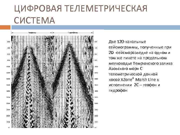 ЦИФРОВАЯ ТЕЛЕМЕТРИЧЕСКАЯ СИСТЕМА Две 120 -канальные сейсмограммы, полученные при 2 D -сейсморазведке на одном