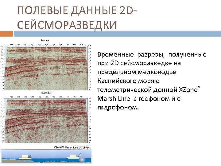 ПОЛЕВЫЕ ДАННЫЕ 2 DСЕЙСМОРАЗВЕДКИ Временные разрезы, полученные при 2 D сейсморазведке на предельном мелководье