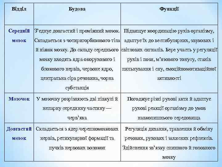 Відділ Будова Функції Середній З’єднує довгастий і проміжний мозок. Підвищує координацію рухів організму, мозок