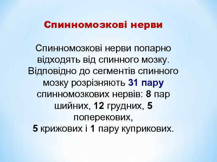 Спинномозкові нерви попарно відходять від спинного мозку. Відповідно до сегментів спинного мозку розрізняють 31