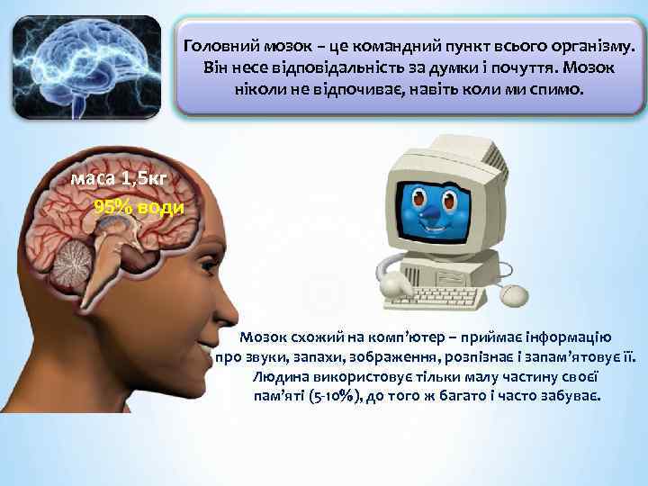 Головний мозок – це командний пункт всього організму. Він несе відповідальність за думки і