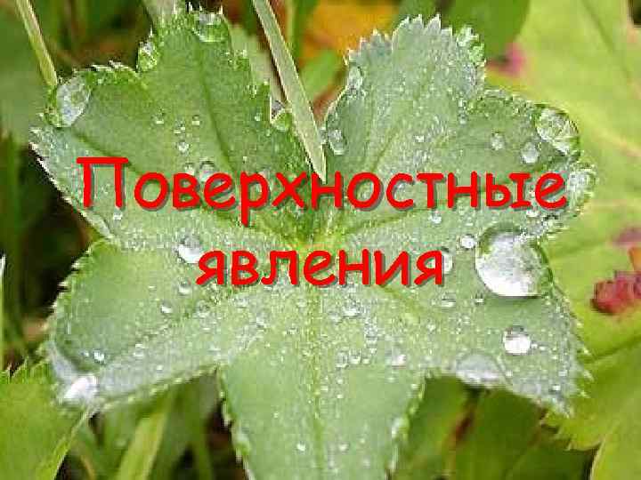 Поверхностные явления 