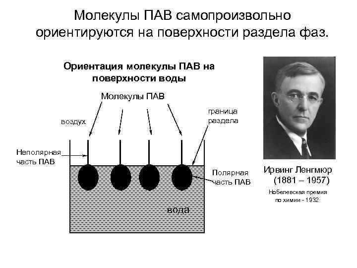 Молекулы ПАВ самопроизвольно ориентируются на поверхности раздела фаз. Ориентация молекулы ПАВ на поверхности воды