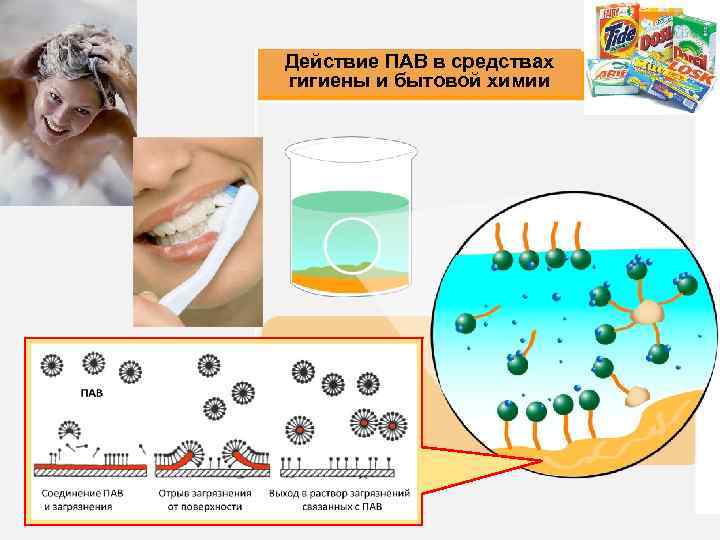 Действие ПАВ в средствах гигиены и бытовой химии 