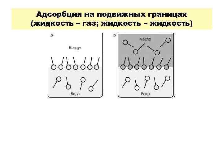 Поверхностная адсорбция