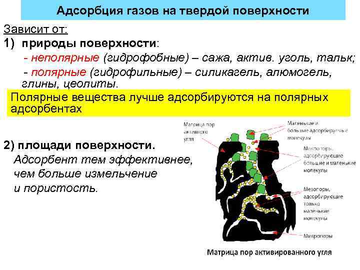 Адсорбция газов на твердой поверхности Зависит от: 1) природы поверхности: - неполярные (гидрофобные) –