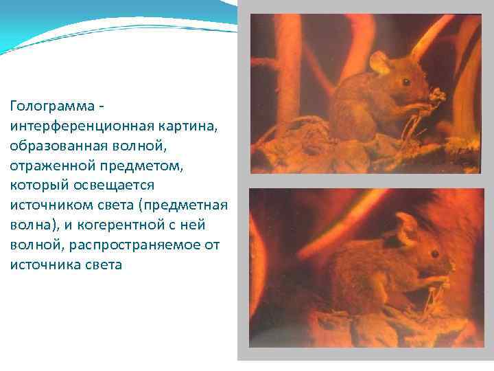 Голограмма - интерференционная картина, образованная волной, отраженной предметом, который освещается источником света (предметная волна),