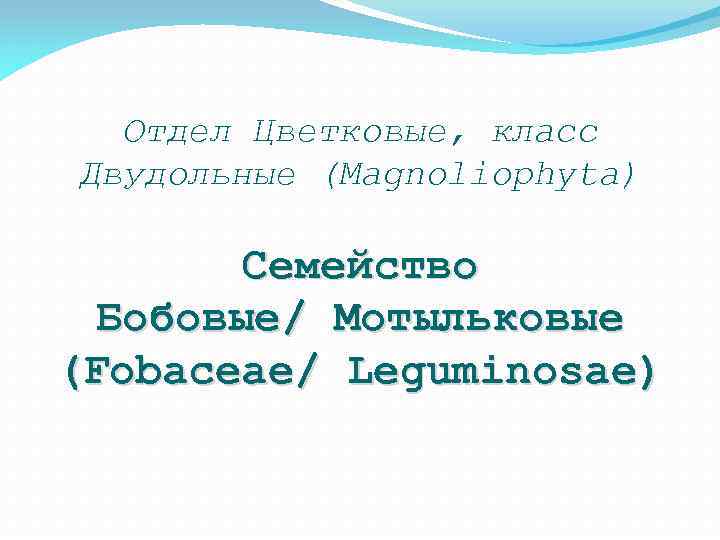 Отдел Цветковые, класс Двудольные (Magnoliophyta) Семейство Бобовые/ Мотыльковые (Fobaceae/ Leguminosae) 