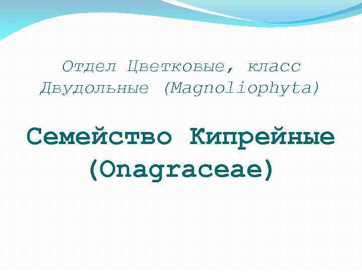 Отдел Цветковые, класс Двудольные (Magnoliophyta) Семейство Кипрейные (Onagraceae) 