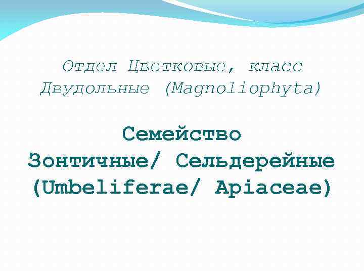 Отдел Цветковые, класс Двудольные (Magnoliophyta) Семейство Зонтичные/ Сельдерейные (Umbeliferae/ Apiaceae) 